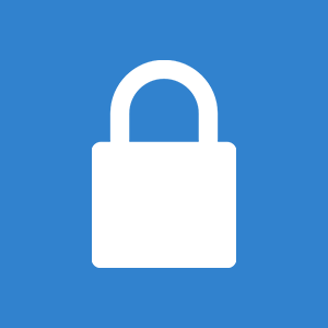 ic security